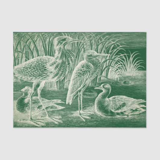 Watervogels Weefselpapier Tissuepapier (Voorkant)