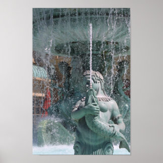 watervrouw poster