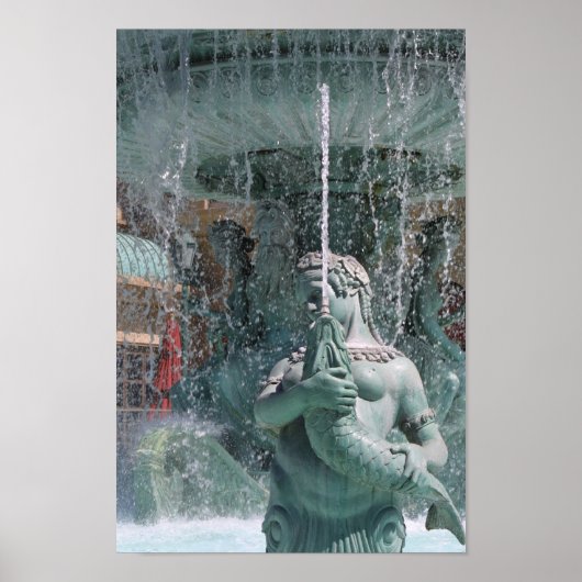 watervrouw poster (Voorkant)