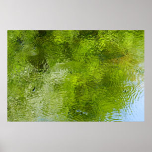 Waterwantsen in Laurel Hill State Park Poster
