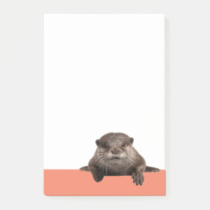 Waterwezels - Schattigee otter Post-it® Notes