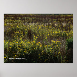 Watsonville Fields van Van Gogh Poster