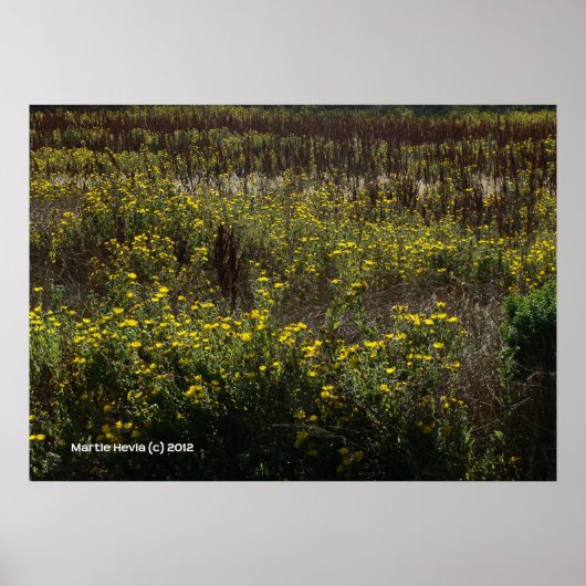 Watsonville Fields van Van Gogh Poster (Voorkant)