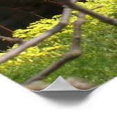 Watsonville Orchard Poster (Hoek)