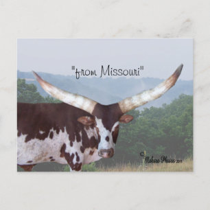 Watsui steer #1 carte postale - personnaliser