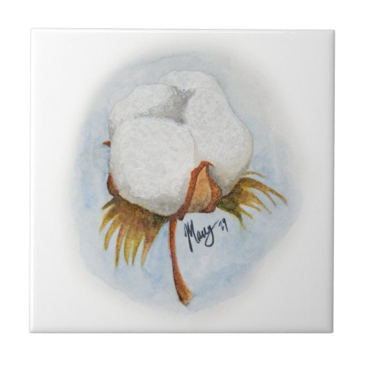 wattenbolletje tegeltje (Voorkant)