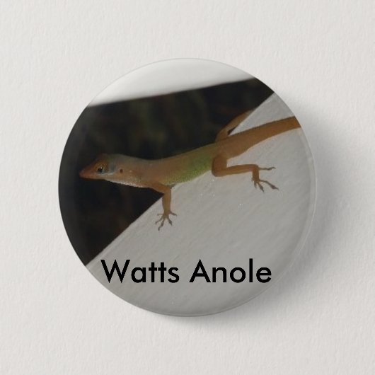 Watts Anole Reptile Button (Voorkant)