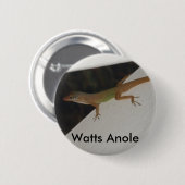 Watts Anole Reptile Button (Voorkant /achterkant)