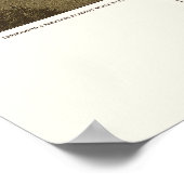 Waupun, WI Panoramic Map - 1885 Poster (Hoek)