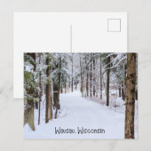 Wausau Wisconsin in de winter Briefkaart (Voorkant / Achterkant)