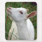 Wauw! Deze gras is groter dan ik Muismat (Voorkant)