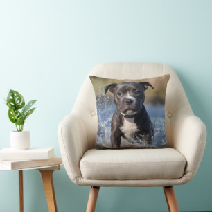 Wave Chaser: Een Staffy Puppy in het spel in de oc Kussen