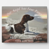 Waves and Boulders Pet Memorial 0893 Fotoplaat (Voorkant)