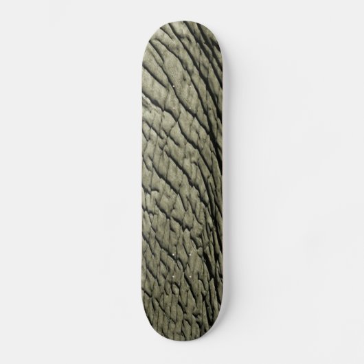 Waves, Designer Skateboard Designs (Recto)
