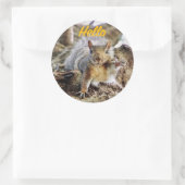 Waving Eekhoorn Envelop Stickers (Tas)