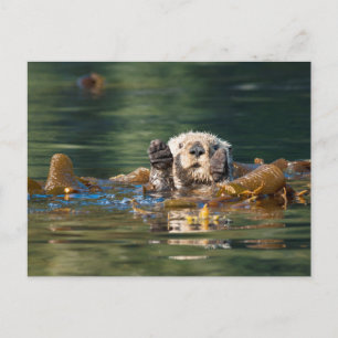 Waving Zee Otter Briefkaart