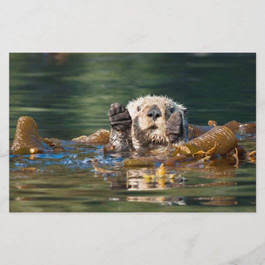 Waving Zee Otter Briefpapier (Voorkant)