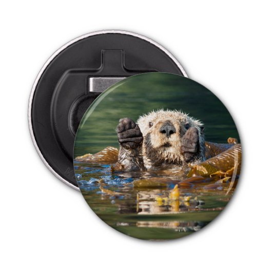 Waving Zee Otter Button Flesopener (Voorkant)