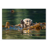 Waving Zee Otter Kaart (Voorkant)