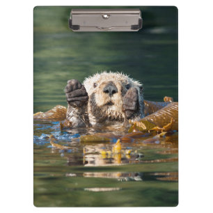 Waving Zee Otter Klembord