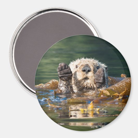 Waving Zee Otter Magneet (Voorkant / Achterkant)