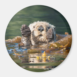 Waving Zee Otter Magneet