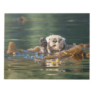 Waving Zee Otter Notitieblok