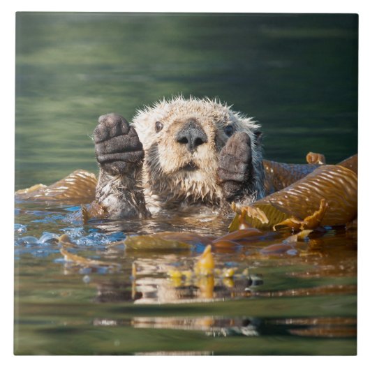 Waving Zee Otter Tegeltje (Voorkant)