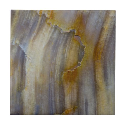 Wavy Petrified Wood Tegeltje (Voorkant)