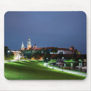 Wawel kasteel 's nachts in Krakau, Polen Muismat