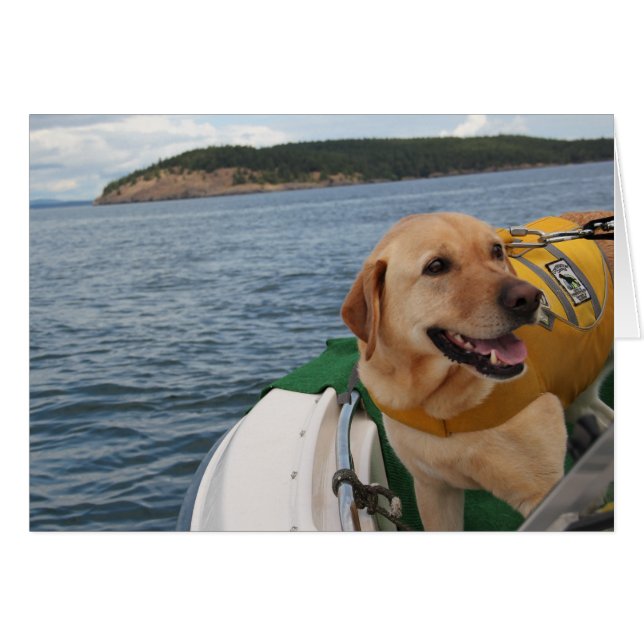 Waylon aux canines Labrador de conservation de (Devant Horizontal)