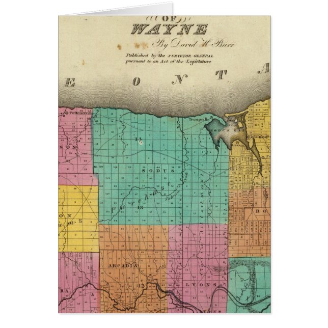 Wayne County (Voorkant)