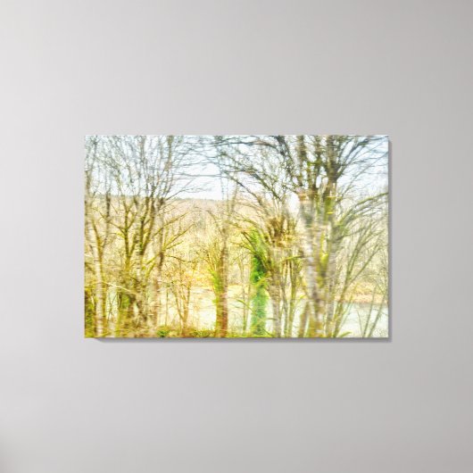 Wazig boslandschap met rivier canvas afdruk (Voorkant)