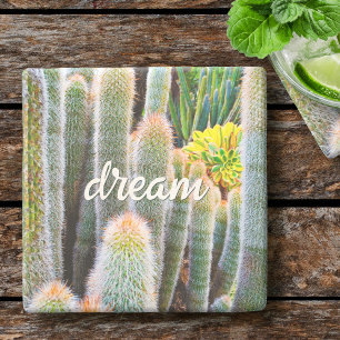 Wazige Groene Cacti Succulent Foto Droom Script Stenen Onderzetter