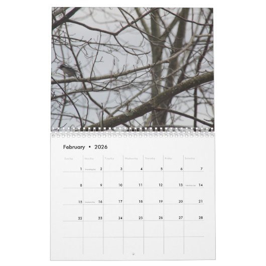 Wazige kalender (Feb 2026)