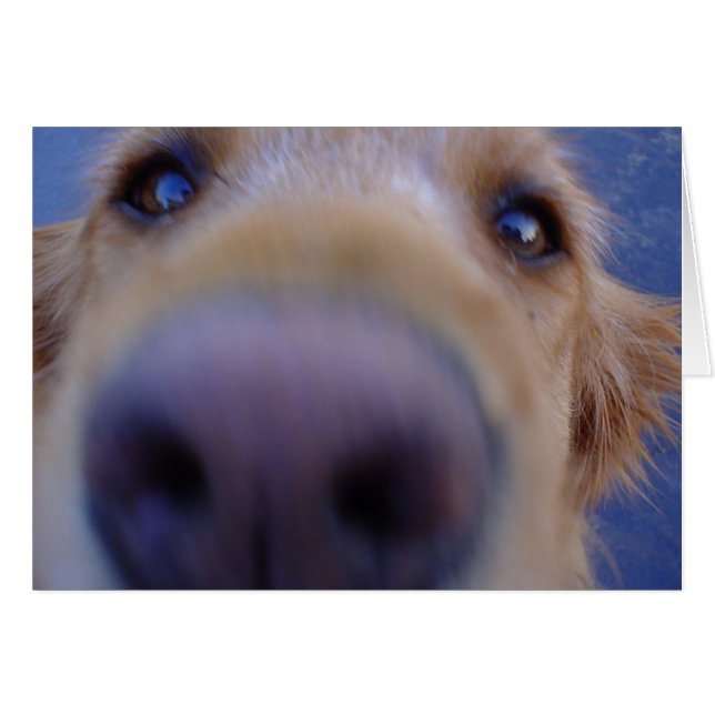 Wazzup ? (Devant horizontal)