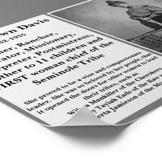 #WCW Alice Brown Davis Seminole Chief Native Am. Poster (Hoek)