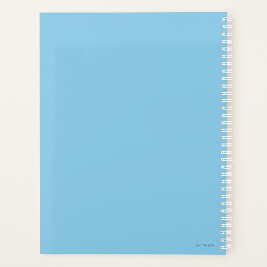 We Bare Bears - Adventure Await (Dos)