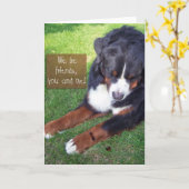 We Be Friends! Kaart (Gele Bloem)