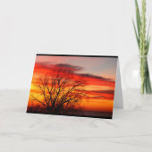 We behoren tot dezelfde familieboom, Birthday Humo Kaart (Voorkant)