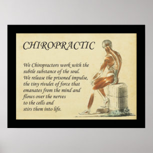 We Chiropractors Work with Soul Poster