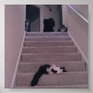 We duwden hem niet! poster