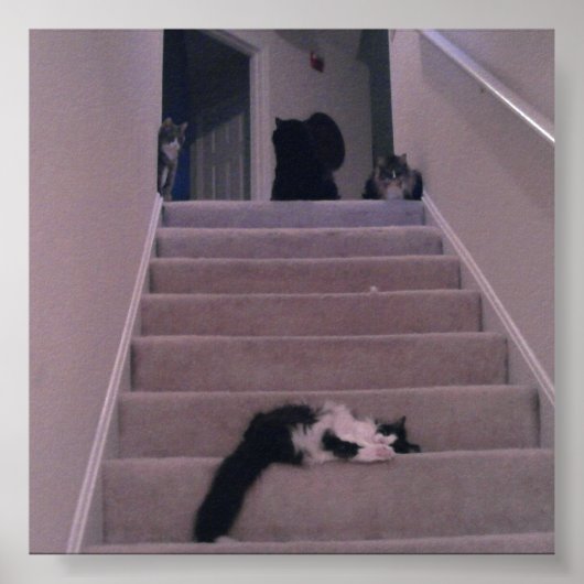 We duwden hem niet! poster (Voorkant)