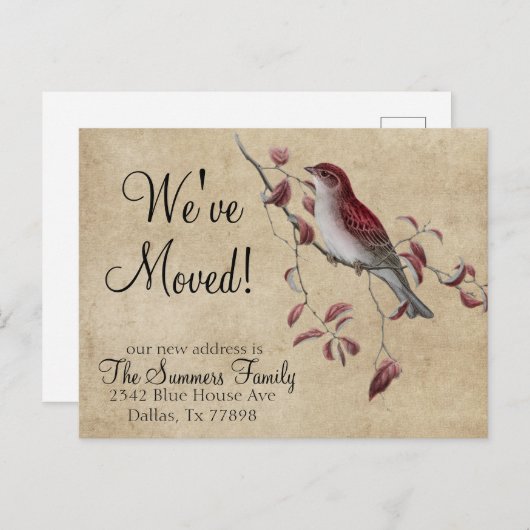 We hebben Adresaankondiging Bird verplaatst Aankondigingskaart (Voorkant / Achterkant)