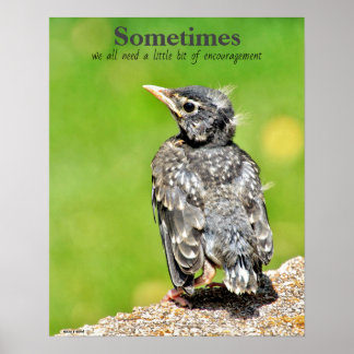 We hebben allemaal Poster voor de klaslokalen nodi