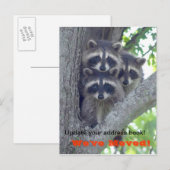 We hebben Briefkaart verplaatst (wasberen in de bo (Voorkant / Achterkant)