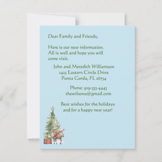 We hebben budget rendier kerstboom verplaatst aankondiging (Achterkant)