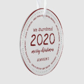 We hebben de 2020-naam Acryl overleefd Ornament (voorkant)