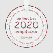 We hebben de 2020-naam Acryl overleefd Ornament (voorkant)