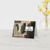 We hebben de aankondiging met Koe verplaatst (Gele Bloem)